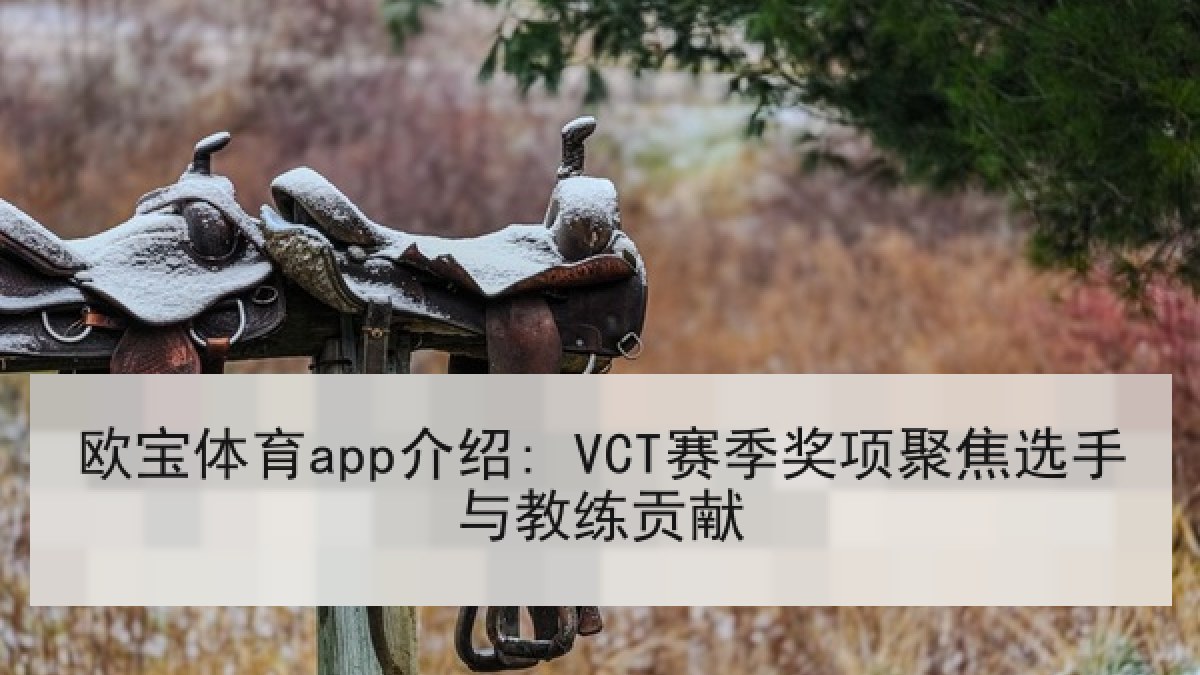 欧宝体育app介绍: VCT赛季奖项聚焦选手与教练贡献 欧宝体育app介绍: VCT赛季奖项聚焦选手与教练贡献