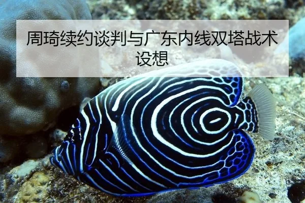 周琦续约谈判与广东内线双塔战术设想